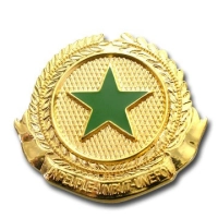 Pin Metalico en Alto Relieve